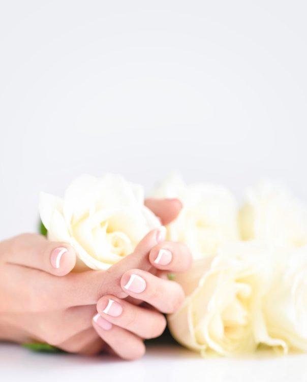 Hands of a woman with beautiful french manicure and white roses