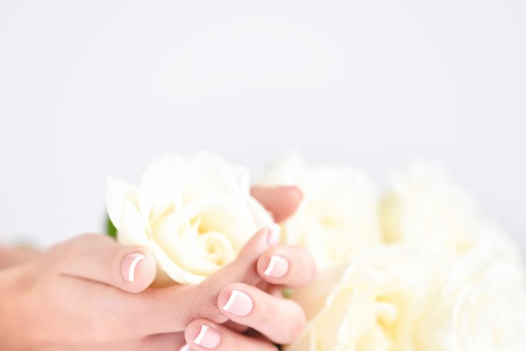 Hands of a woman with beautiful french manicure and white roses